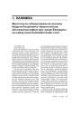 № 1—2 (41—42) — 2006. Электроннае выданьне
