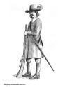 Кампанія 1660 году ў Літве