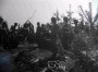 Гродзенская катастрофа савецкай 3-й арміі ў 1941 г.