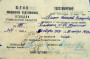 Дапаможная паліцыя ў акупаваным Савецкім Саюзе (1941—1943 гг.) і Халакост у Гомелі