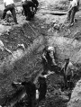 Мікракосм: Халакост, калабарацыя і супраціў у Мірскім раёне, 1941—1944 гг.