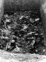Мікракосм: Халакост, калабарацыя і супраціў у Мірскім раёне, 1941—1944 гг.