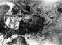 Мікракосм: Халакост, калабарацыя і супраціў у Мірскім раёне, 1941—1944 гг.