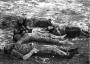 Мікракосм: Халакост, калабарацыя і супраціў у Мірскім раёне, 1941—1944 гг.
