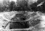 Мікракосм: Халакост, калабарацыя і супраціў у Мірскім раёне, 1941—1944 гг.