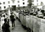 Рэфэрэндум і давыбары 1996 г.