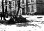 Супрацоўніцтва ў знішчальнай вайне. Айнзацгрупа В і 322-гі паліцэйскі батальён у Беларусі ў 1941—1942 гг.