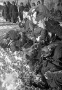 Супрацоўніцтва ў знішчальнай вайне. Айнзацгрупа В і 322-гі паліцэйскі батальён у Беларусі ў 1941—1942 гг.