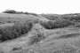 На ўсходняй мяжы Вялікага Княства Літоўскага (сярэдзіна XIV — першая палова XVI ст.). Электроннае выданьне