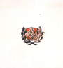 Беларускія вайсковыя фармаваньні: 1917—1923 гады