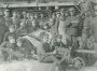 Беларускія вайсковыя фармаваньні: 1917—1923 гады