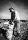 №10 (131) — 2014. Радзіма. Электроннае выданьне