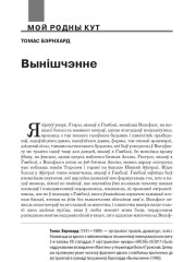 Вынішчэнне