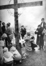 Хрышчэнне нацыі. Масавыя акцыі 1988—2009. Электроннае выданьне