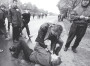 Хрышчэнне нацыі. Масавыя акцыі 1988—2009. Электроннае выданьне