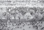 Хрышчэнне нацыі. Масавыя акцыі 1988—2009. Электроннае выданьне