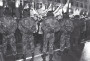 Хрышчэнне нацыі. Масавыя акцыі 1988—2009. Электроннае выданьне