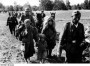 Партызанская вайна ў Беларусі ў 1941—1944 гг. Электроннае выданьне