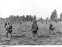 Партызанская вайна ў Беларусі ў 1941—1944 гг. Электроннае выданьне