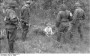 Партызанская вайна ў Беларусі ў 1941—1944 гг. Электроннае выданьне