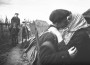 Партызанская вайна ў Беларусі ў 1941—1944 гг. Электроннае выданьне