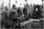 Партызанская вайна ў Беларусі ў 1941—1944 гг. Электроннае выданьне