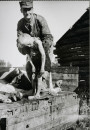 Партызанская вайна ў Беларусі ў 1941—1944 гг. Электроннае выданьне