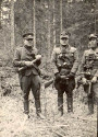 Партызанская вайна ў Беларусі ў 1941—1944 гг. Электроннае выданьне
