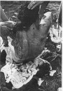 Партызанская вайна ў Беларусі ў 1941—1944 гг. Электроннае выданьне