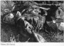 Партызанская вайна ў Беларусі ў 1941—1944 гг. Электроннае выданьне