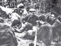 Партызанская вайна ў Беларусі ў 1941—1944 гг. Электроннае выданьне