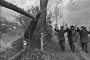 Партызанская вайна ў Беларусі ў 1941—1944 гг. Электроннае выданьне