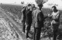 Партызанская вайна ў Беларусі ў 1941—1944 гг. Электроннае выданьне
