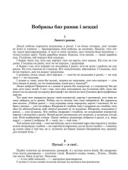 Вобразы бяз рамак і асадкі