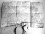 Шлюбныя і пазашлюбныя стасункі шляхты Вялікага Княства Літоўскага ў XVI—XVIІ стст. Электроннае выданьне