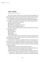 An Ideal Economic Model for Belarus (Labor market)