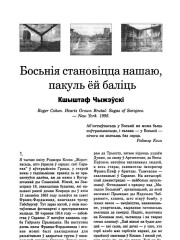 Босьнія становіцца нашаю, пакуль ёй баліць