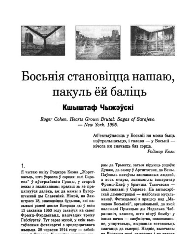 Босьнія становіцца нашаю, пакуль ёй баліць