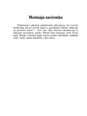 Мoŭnaja zaciemka