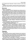 Комплекс