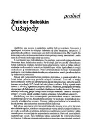 Čużajedy
