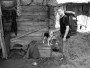 Беларускія гаворкі ў Краслаўскім раёне Латвіі: сацыялінгвістычнае  дасьледаваньне. Электроннае выданьне
