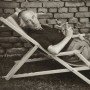 У пошуку сябе. Літаратура і мастацтва Аўстрыі пасля 1945 года