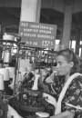 Тэндэнцыі дзяржаўнай нацыянальнай палітыкі ў БССР у 1950-я гады