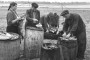 На пераломе: беларуская вёска ў канцы 1940-х — 1950-я гады