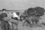 На пераломе: беларуская вёска ў канцы 1940-х — 1950-я гады