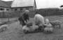 На пераломе: беларуская вёска ў канцы 1940-х — 1950-я гады