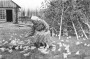 На пераломе: беларуская вёска ў канцы 1940-х — 1950-я гады
