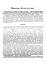 Палямон. Коды легенды