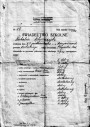 Старонкі з сямейнай палескай хронікі